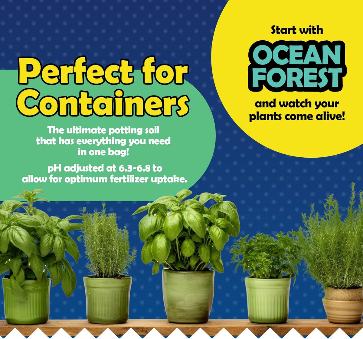 12qt Garden Potting Soil Blend X319581