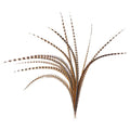 Pheasant Tails 50 - 60x22 E7507