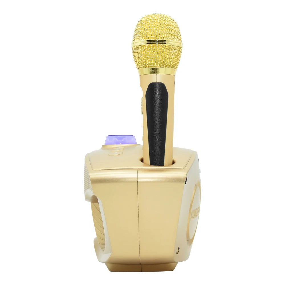 Portable Karaoke Speaker with 2 Wireless Mic C1377