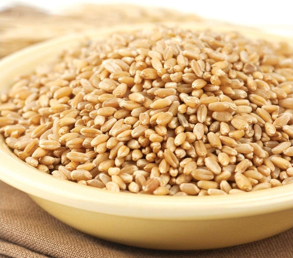 50lb bag Wheat Berries S979