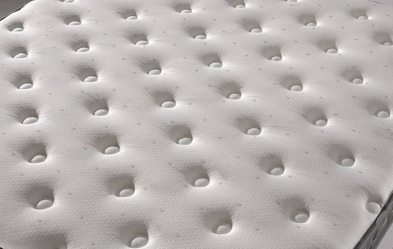 Twin Plush Mattress F6304