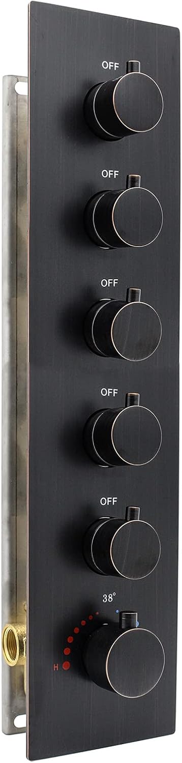 Chrome Brass Thermostatic Shower Valve F524