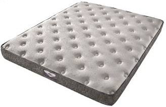 Twin Plush Mattress F6304