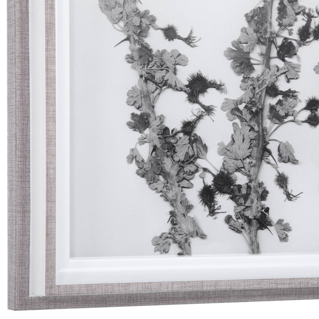 Contemporary Botanicals Framed Prints (Set of 12) I2317