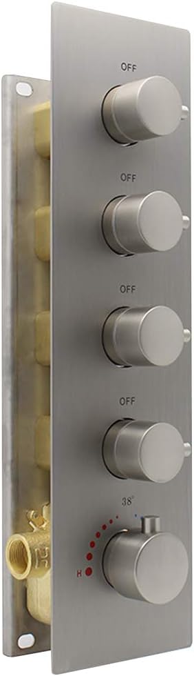 Chrome Brass Thermostatic Shower Valve F524