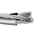 150' Nassau Cockle 2-2-4 Aluminum Triplex Overhead Service Drop Cable B511094