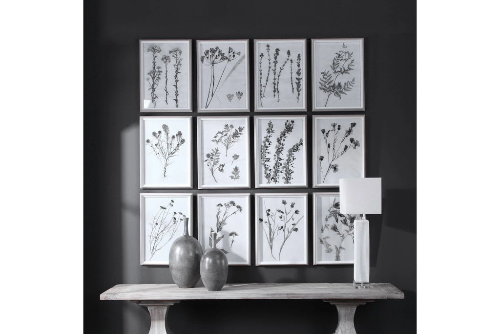 Contemporary Botanicals Framed Prints (Set of 12) I2317