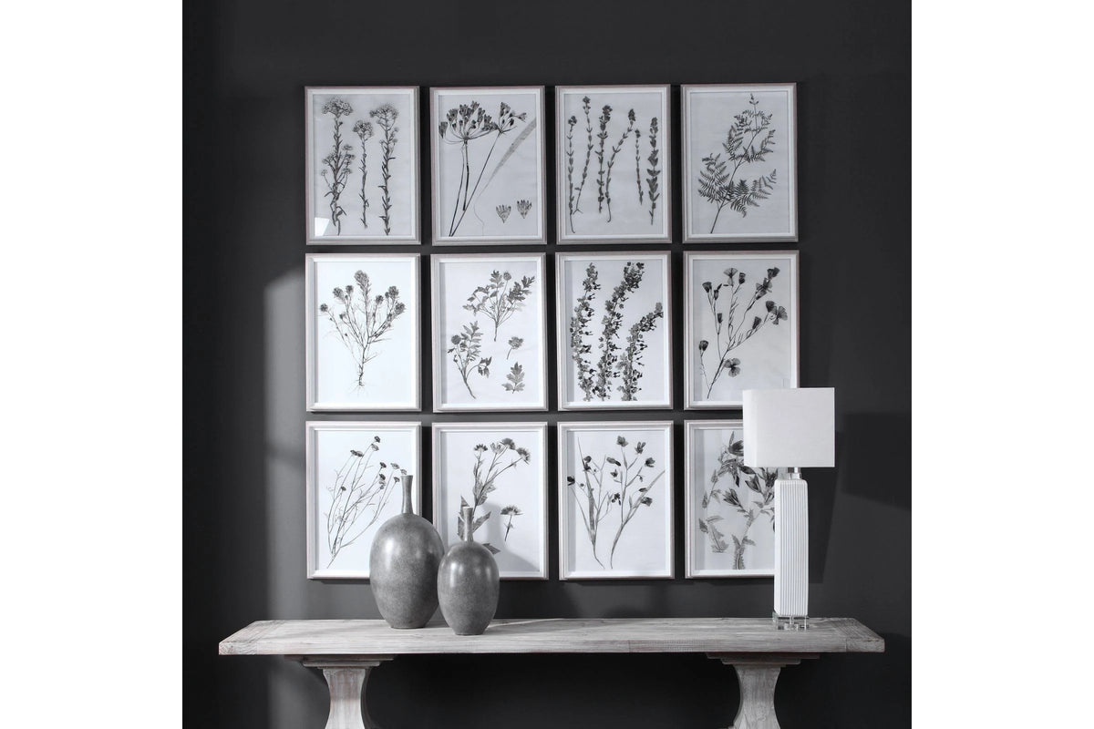 Contemporary Botanicals Framed Prints (Set of 12) I2317