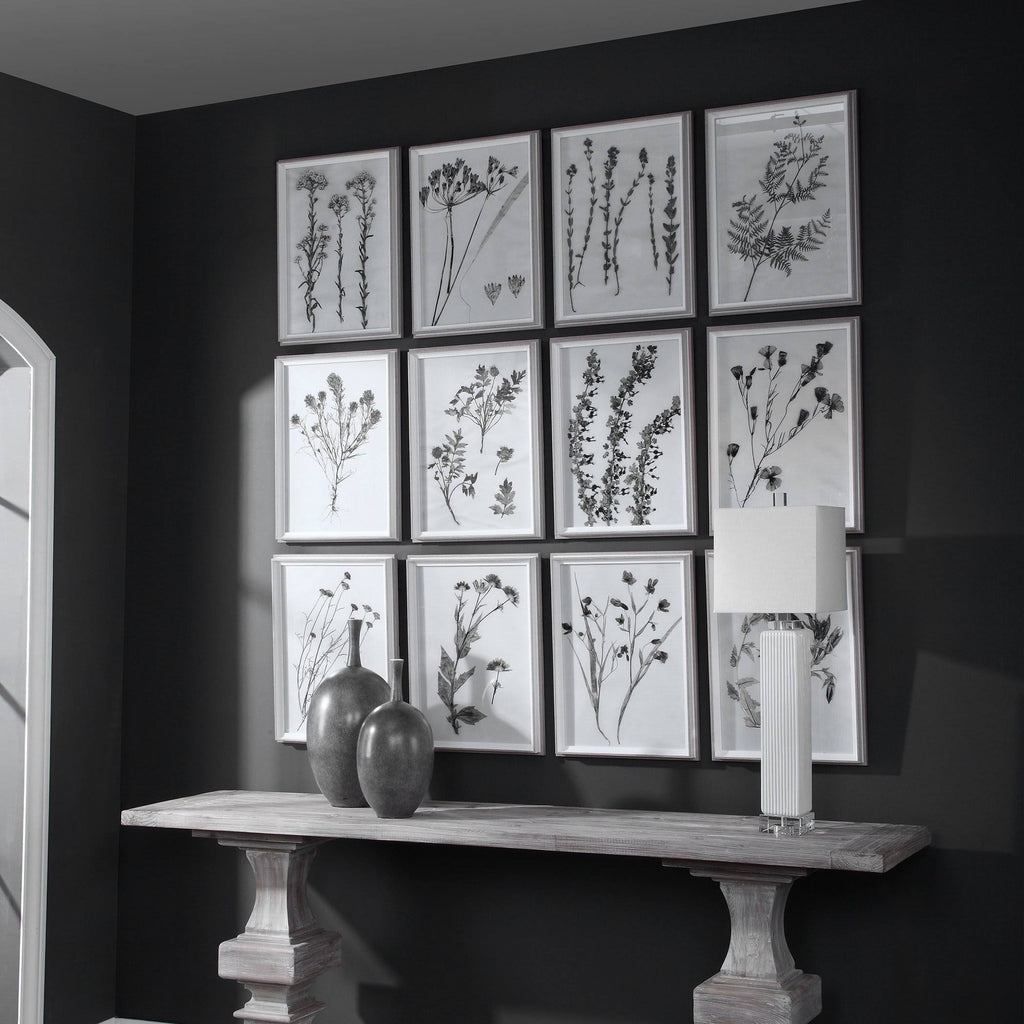 Contemporary Botanicals Framed Prints (Set of 12) I2317