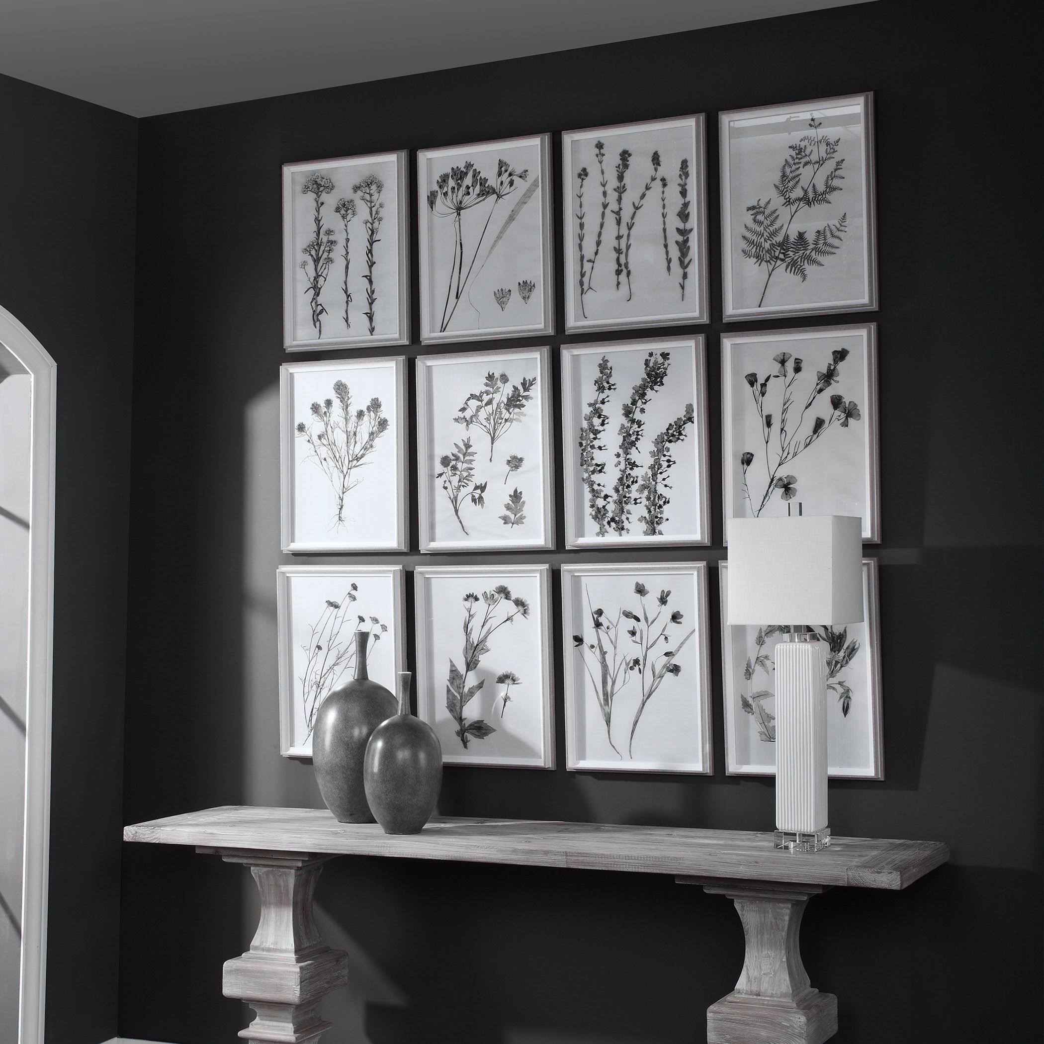 Contemporary Botanicals Framed Prints (Set of 12) I2317