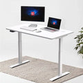 Electric Height Adjustable Standing Desk with Rectangular Tabletop Z3109