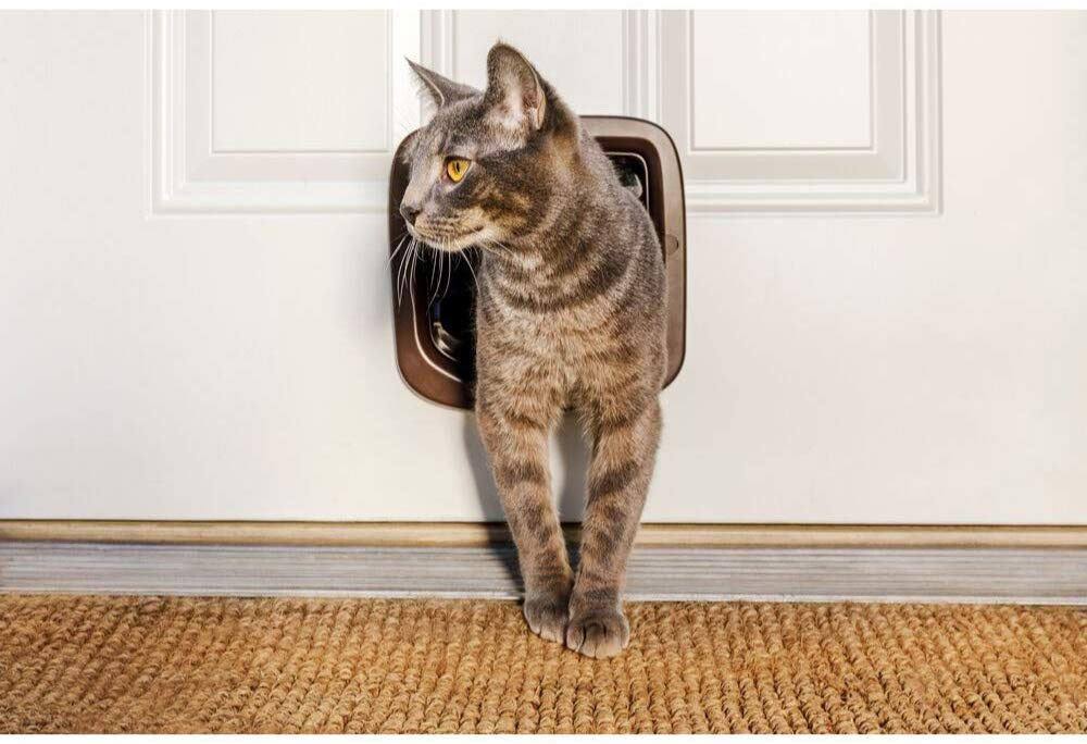 Brown 4 Way Locking Cat Flap B65398