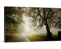 Photographic Print Canvas 12x22 H x 21x22 W x 1.5x22 D W60585
