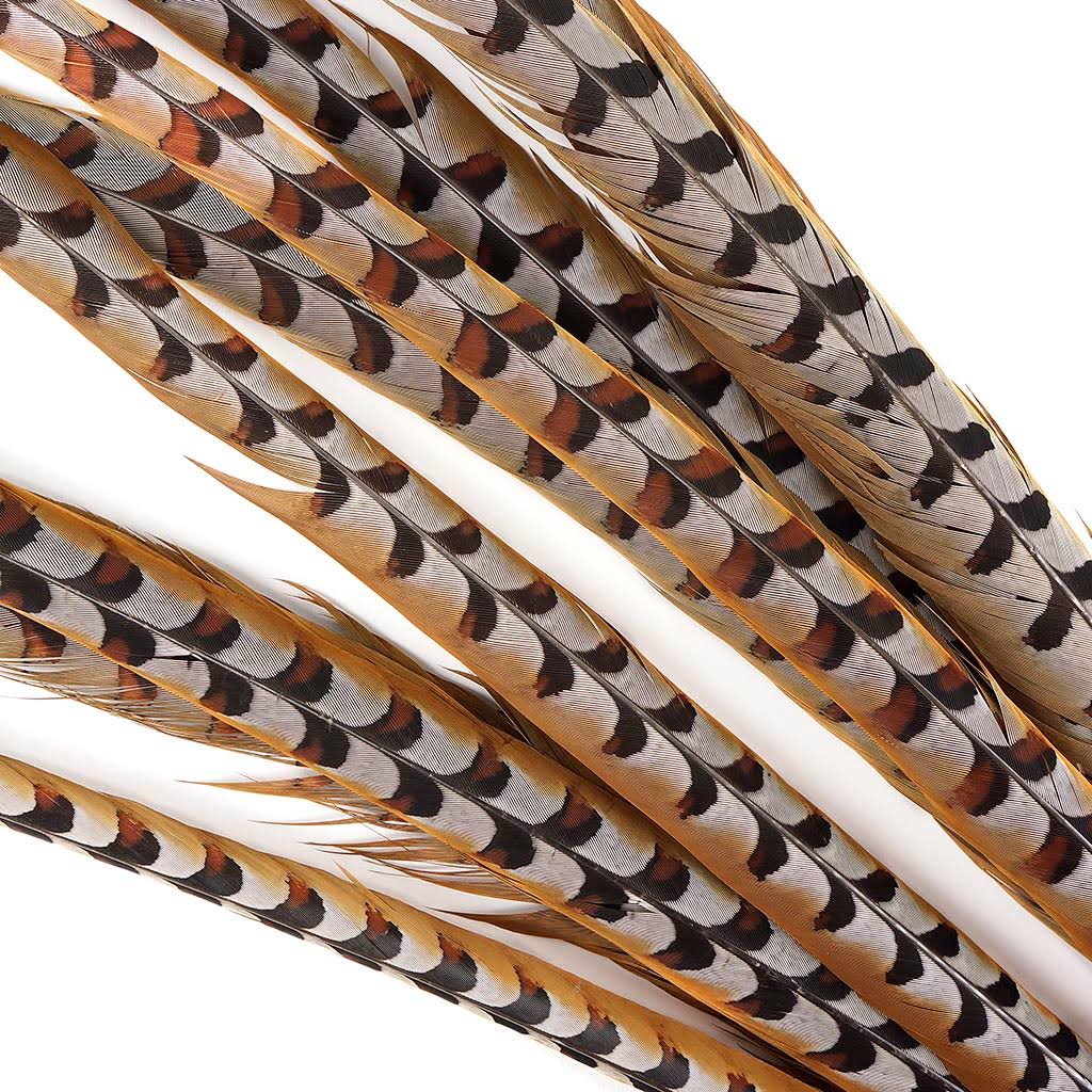 Pheasant Tails 50 - 60x22 E7507