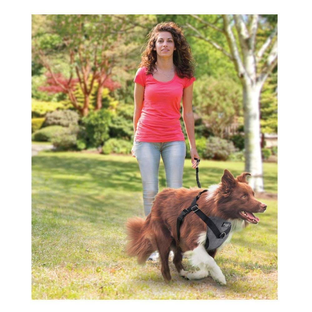 X-Large No Pull Dog Harness Leash Seat Belt U46710