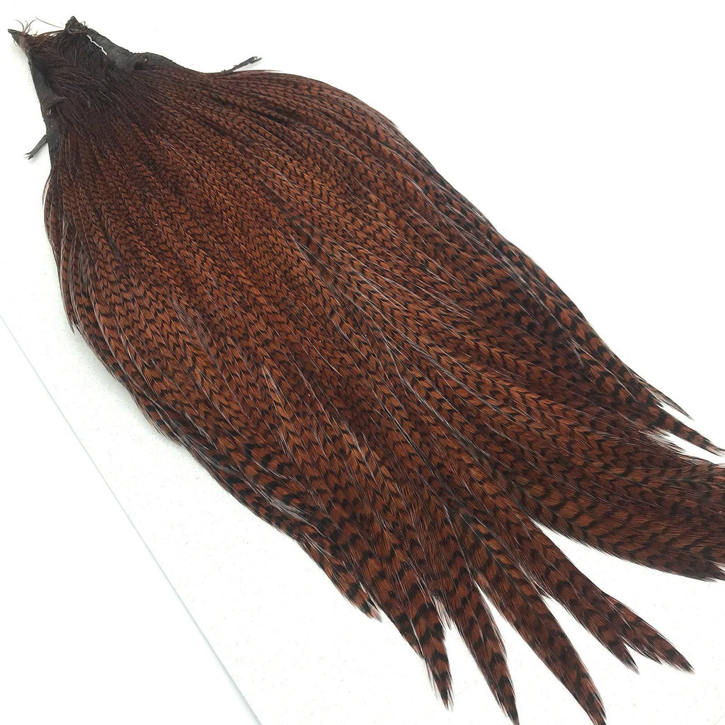 Ginger Cape O4192