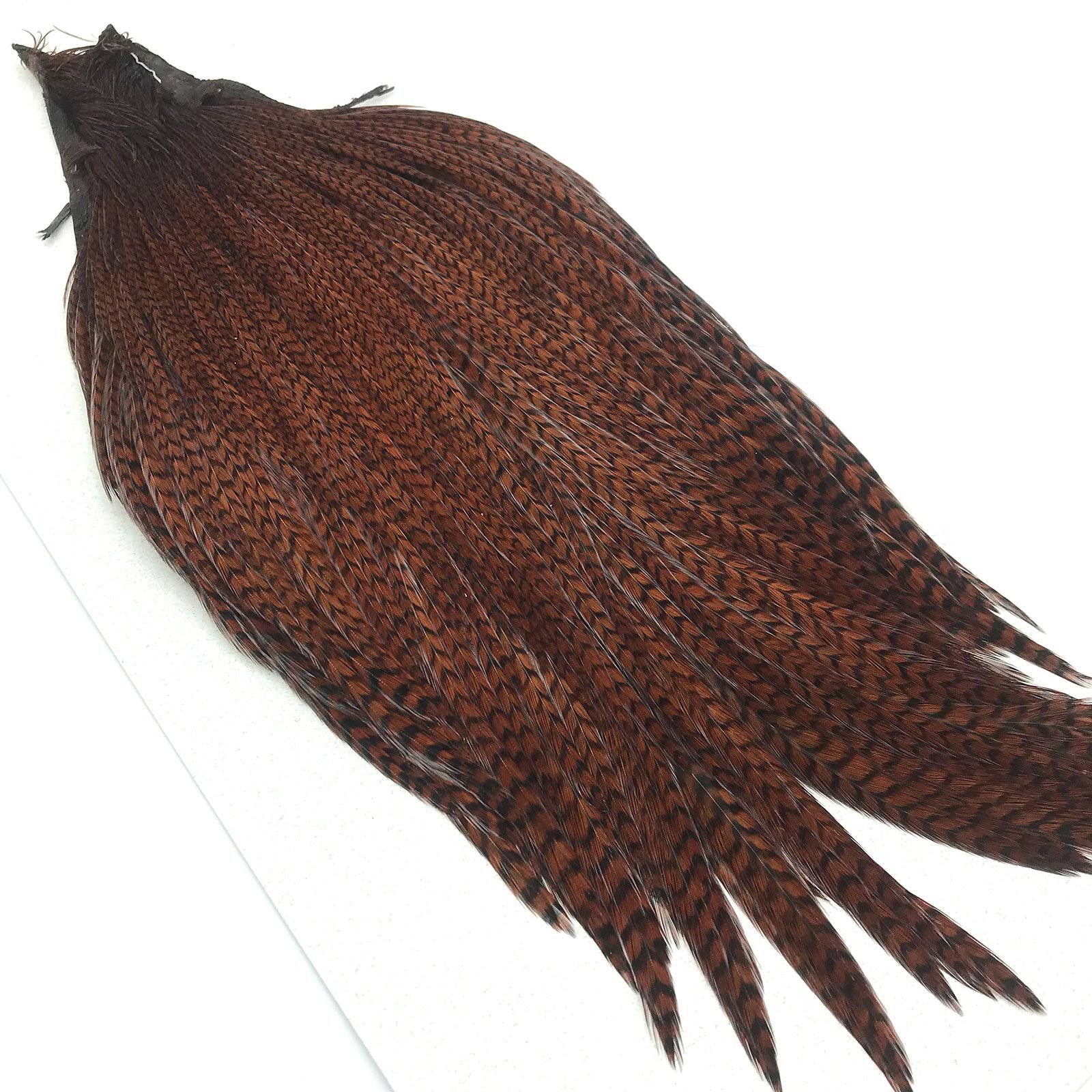 Ginger Cape O4192
