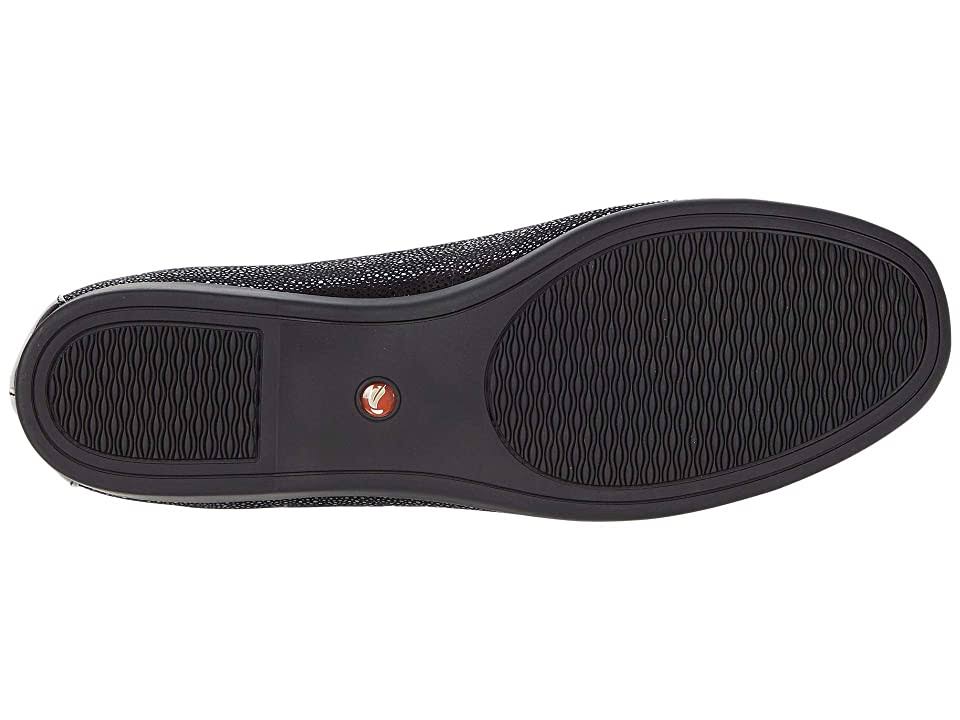 Black Flat - 7 W H56209