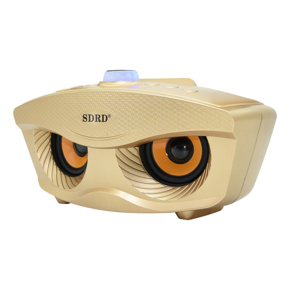 Portable Karaoke Speaker with 2 Wireless Mic C1377