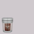 Exterior Paint (5-Gallon) Y5226