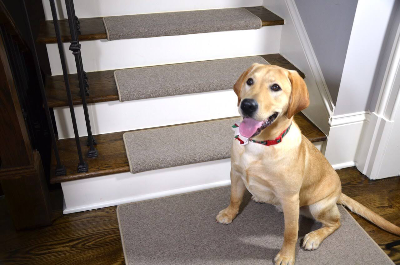New Suede Beige Non-Skid Carpet Stair Treads F677