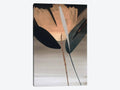 Canvas Wall Decor Prints Y948