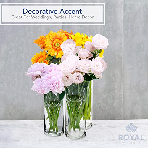 SET of 4 Glass Cylinder Vases K352