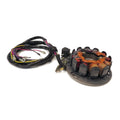 Stator Generator Assembly for Polaris Engine Watercraft Jet Ski D234