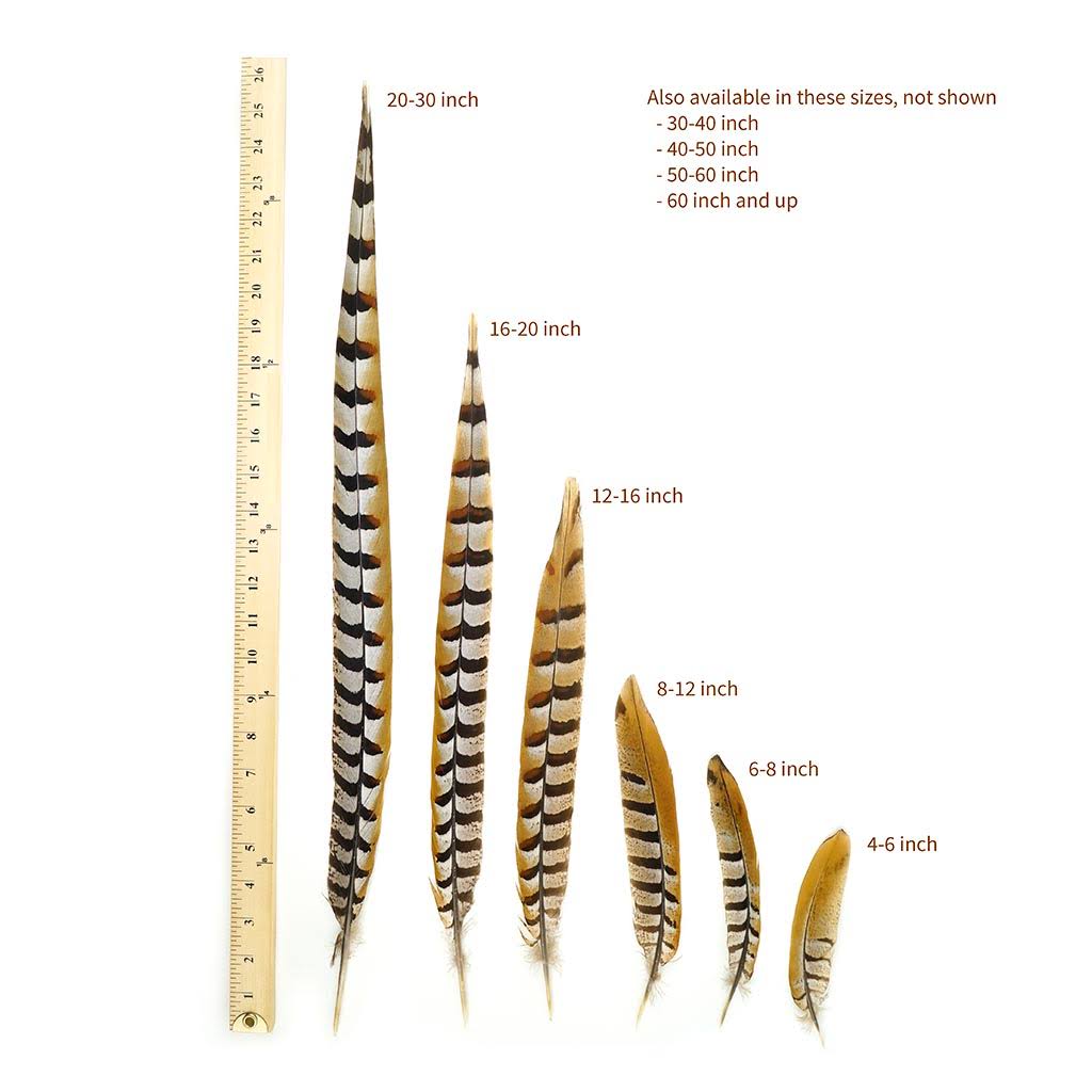 Pheasant Tails 50 - 60x22 E7507