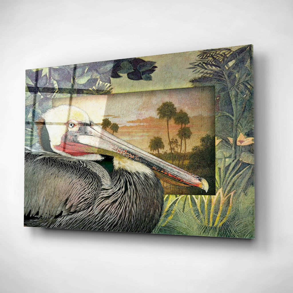 Pelican Paradise I Acrylic Glass Wall Art, 16"x12" K794