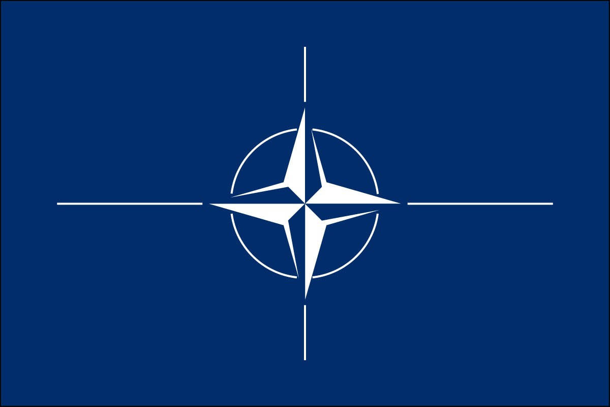 Nylon NATO Flag 5x8 Foot L58572