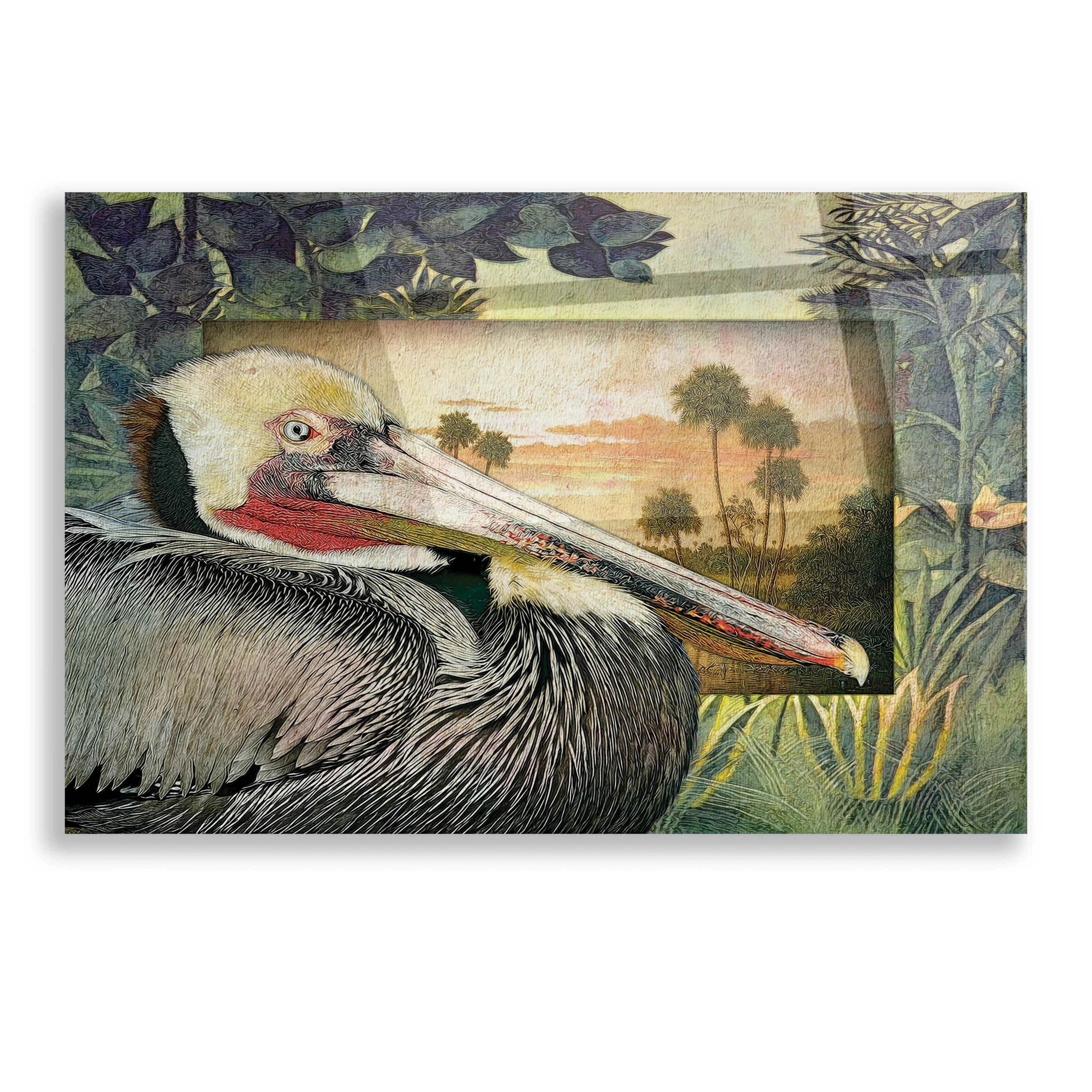 Pelican Paradise I Acrylic Glass Wall Art, 16"x12" K794