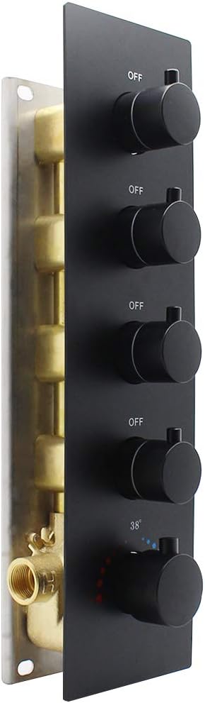 Chrome Brass Thermostatic Shower Valve F524