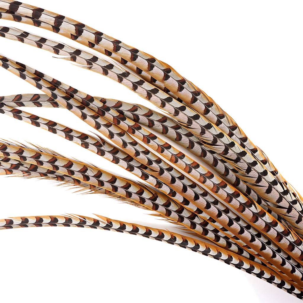 Pheasant Tails 50 - 60x22 E7507