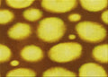 Rubber Ducky Yellow Rectangle Area Rug, 2' x 3' S758912