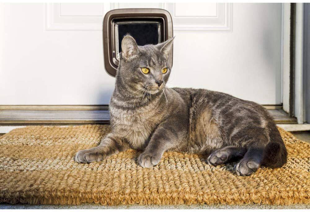 Brown 4 Way Locking Cat Flap B65398