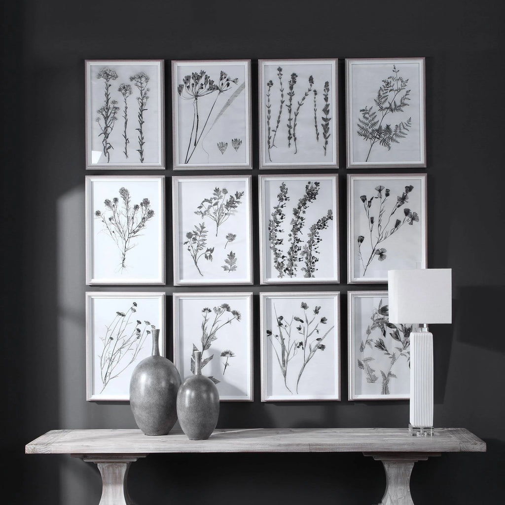 Contemporary Botanicals Framed Prints (Set of 12) I2317