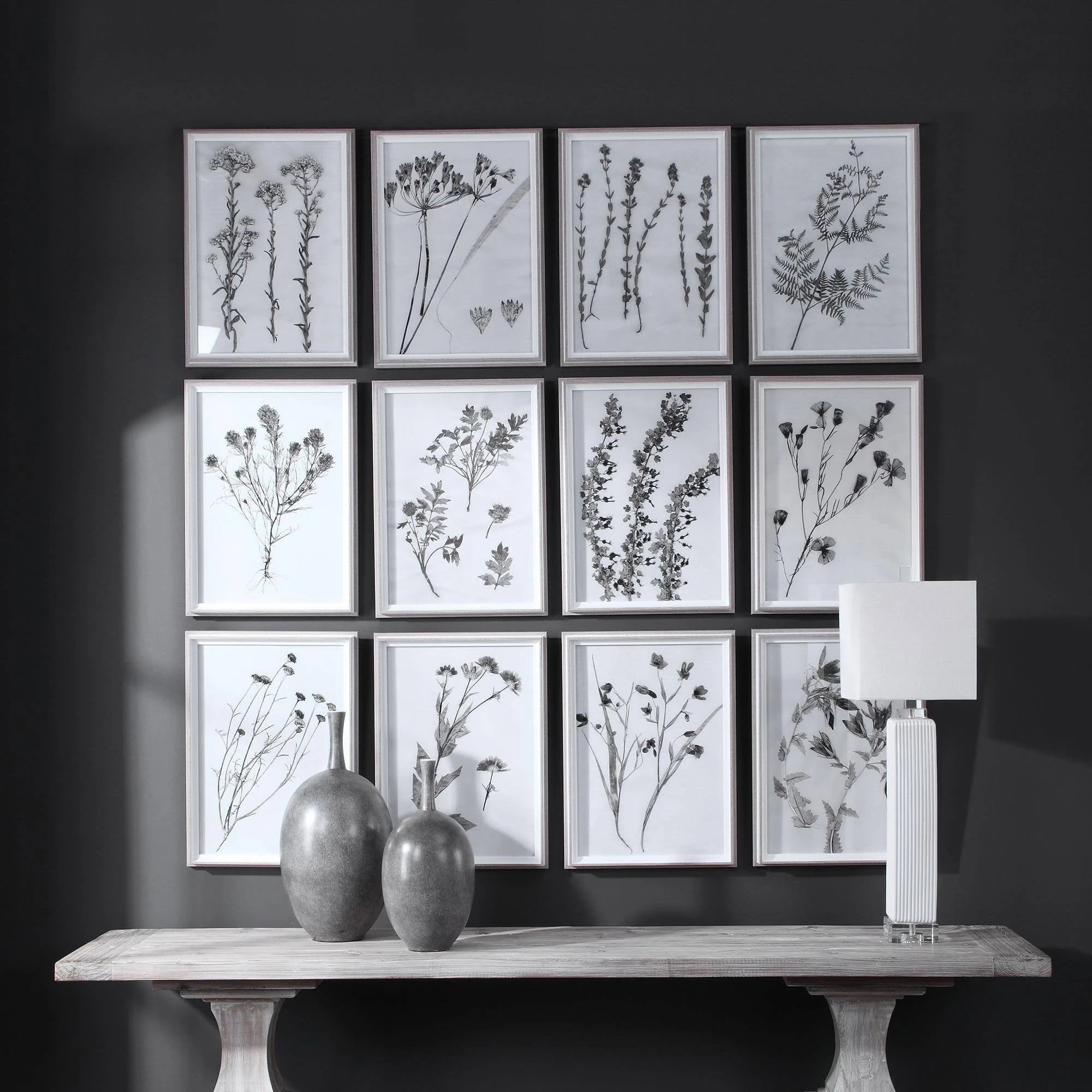 Contemporary Botanicals Framed Prints (Set of 12) I2317