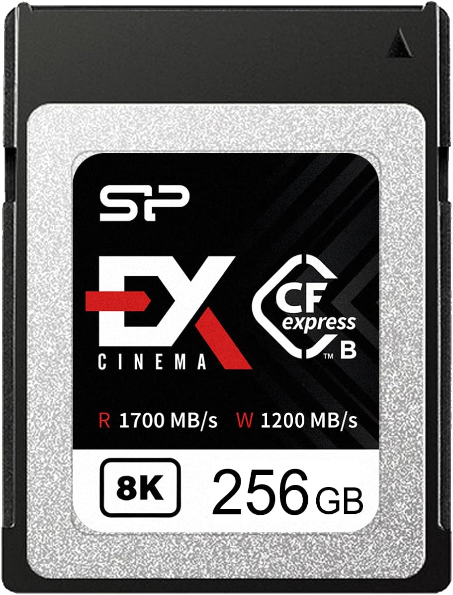 256GB CFexpress Type B Memory Card W868554