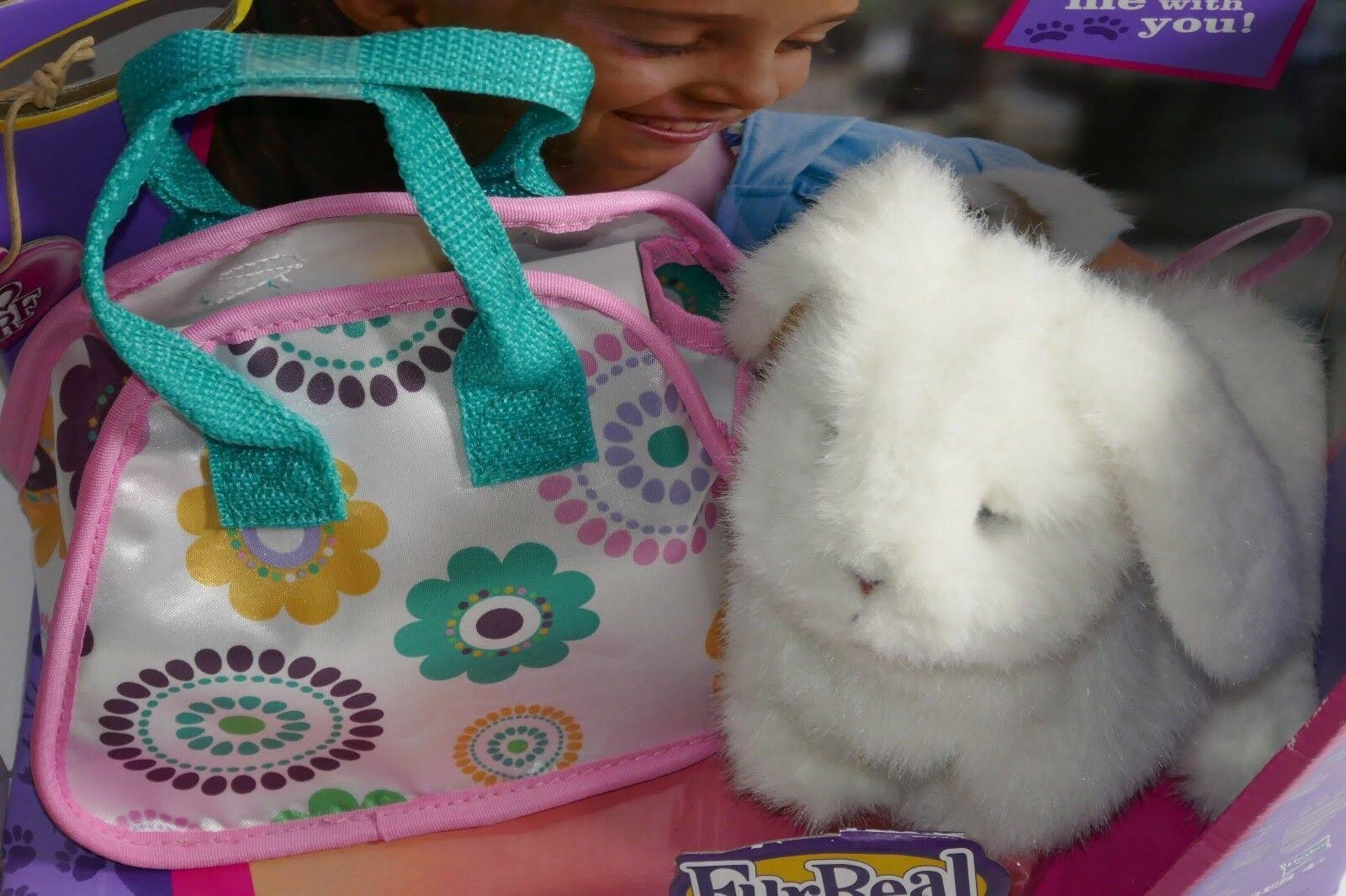Teacup Bunny X782821