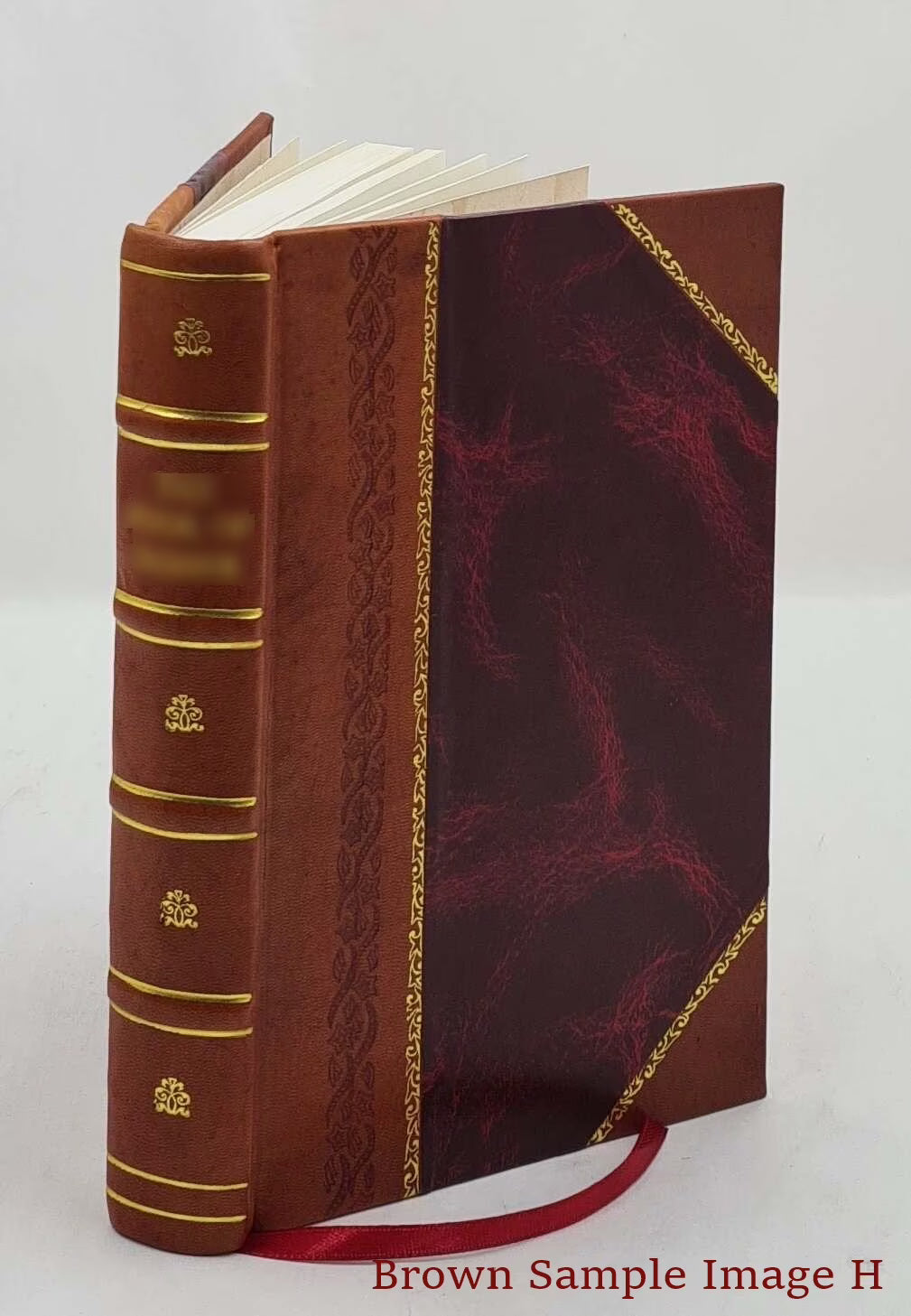 Leather Bound Book M345179